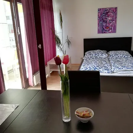 Studio Schwabing Fantastic Sunset View מינכן
